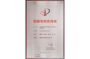 麗珠集團(tuán)獲第十三屆中國(guó)專利優(yōu)秀獎(jiǎng)。